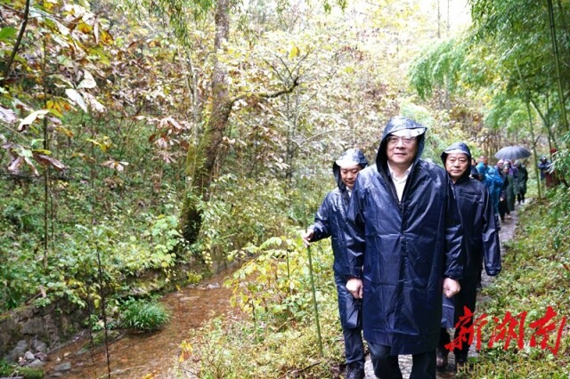 10月15日上午，省委书记杜家毫来到张家界八大公山国家级自然保护区，冒雨徒步攀登天平山。