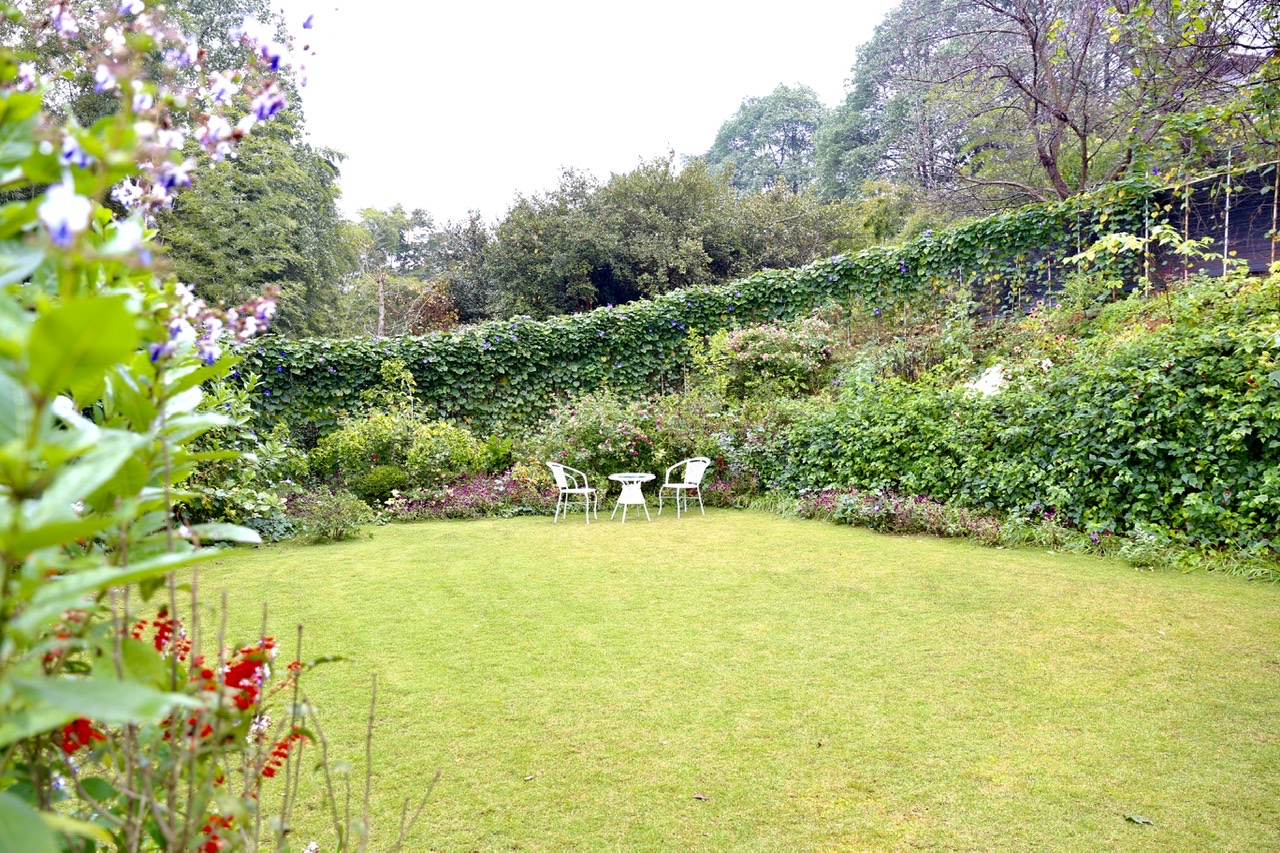屋后临山的大草坪，各种开花的藤曼长成了绿色围墙。