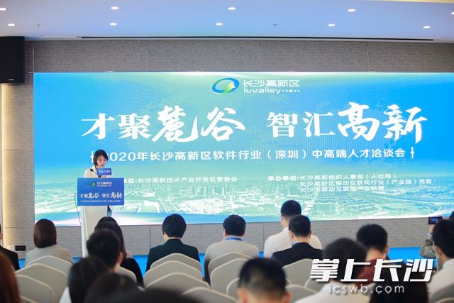 11月28日，长沙高新区软件行业（深圳）中高端人才洽谈会举行。