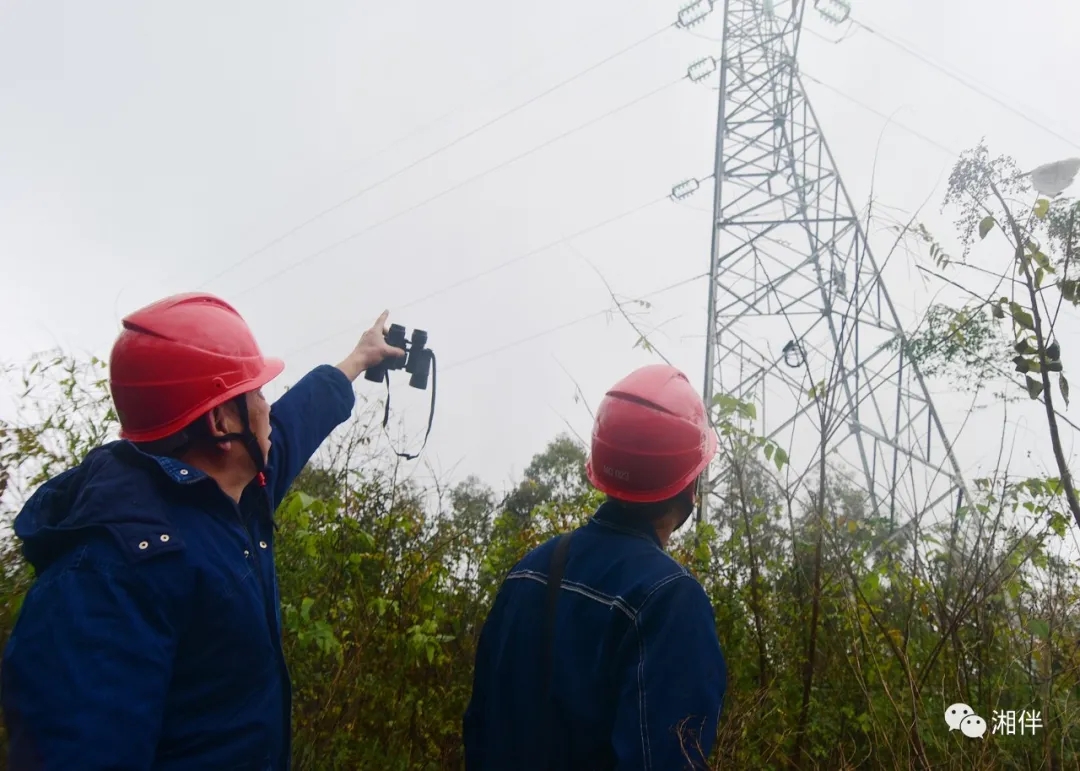 12月15日，嘉禾县龙潭镇上宅村，电力员工对35千伏供电线路及设备进行巡视维护，保障线路安全稳定运行，确保人民生产生活正常供电。黄春涛 王梓洋 摄