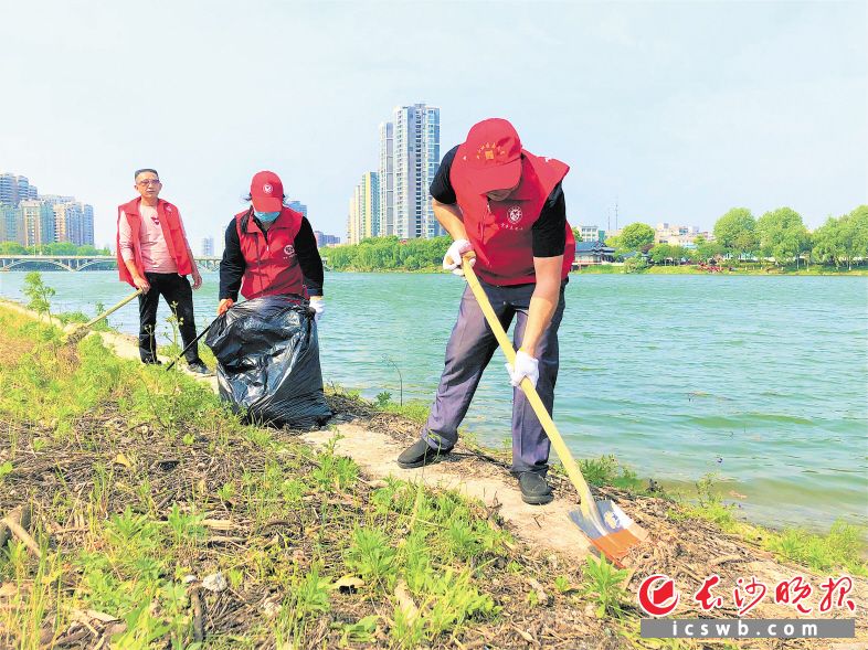 志愿者在沩江边清理杂物。受访者供图
