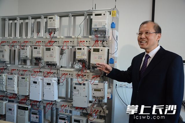 施维智能计量系统服务长沙有限公司总经理杨力正在为采访团介绍来自全球的集成电表。