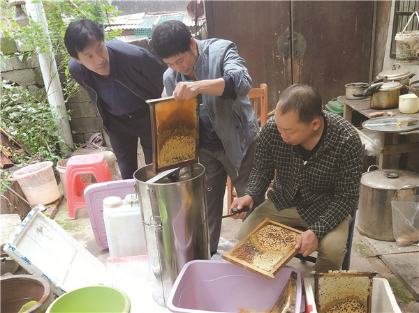 廖志华（右）在指导养蜂户采蜜。受访者供图