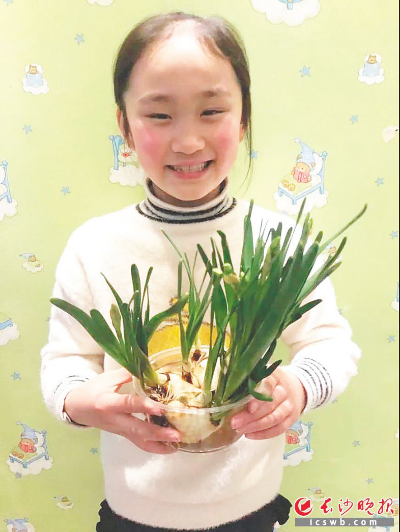 天心区实验小学开展“小小绿植养成记”活动，看看谁是“种植小能手”。学校供图
