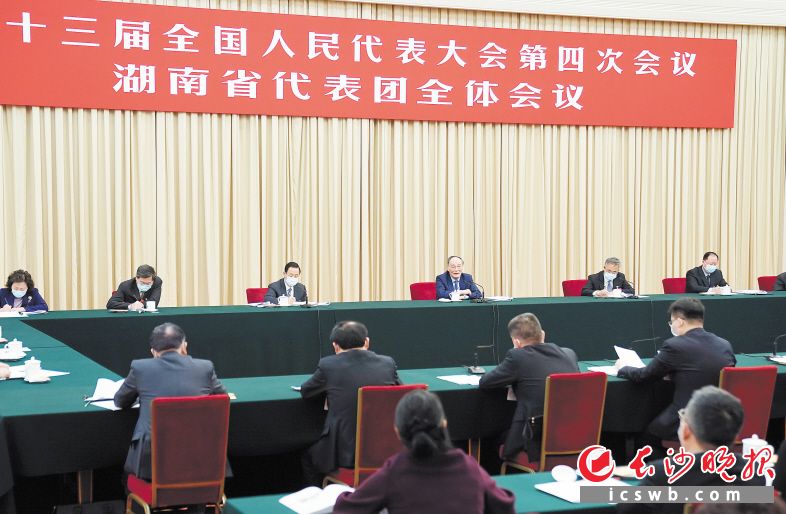 3月6日，国家副主席王岐山参加十三届全国人大四次会议湖南代表团的审议。新华社记者 燕雁 摄