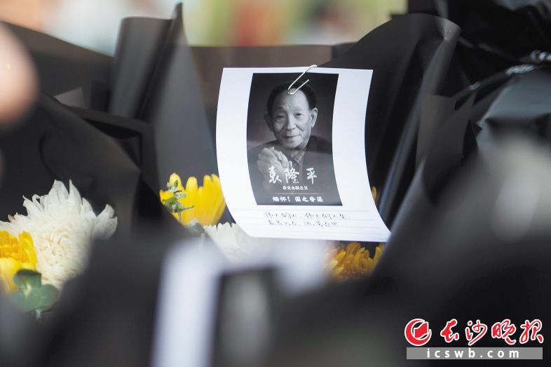 　　一束悼念的鲜花上，悼念者附上了袁隆平院士的照片、写上了怀念的文字。音容宛在，痛心送别。长沙晚报全媒体记者 黄启晴 摄