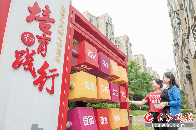 在东宜社区，“四红”党建品牌已成为一张响当当的名片。 图片均为 陈飞 摄