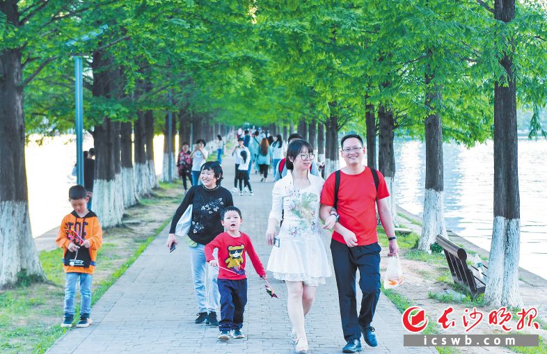 游客在湖南烈士公园散步游玩。烈士公园将全面提质改造，更好地为市民提供优雅的游园环境。