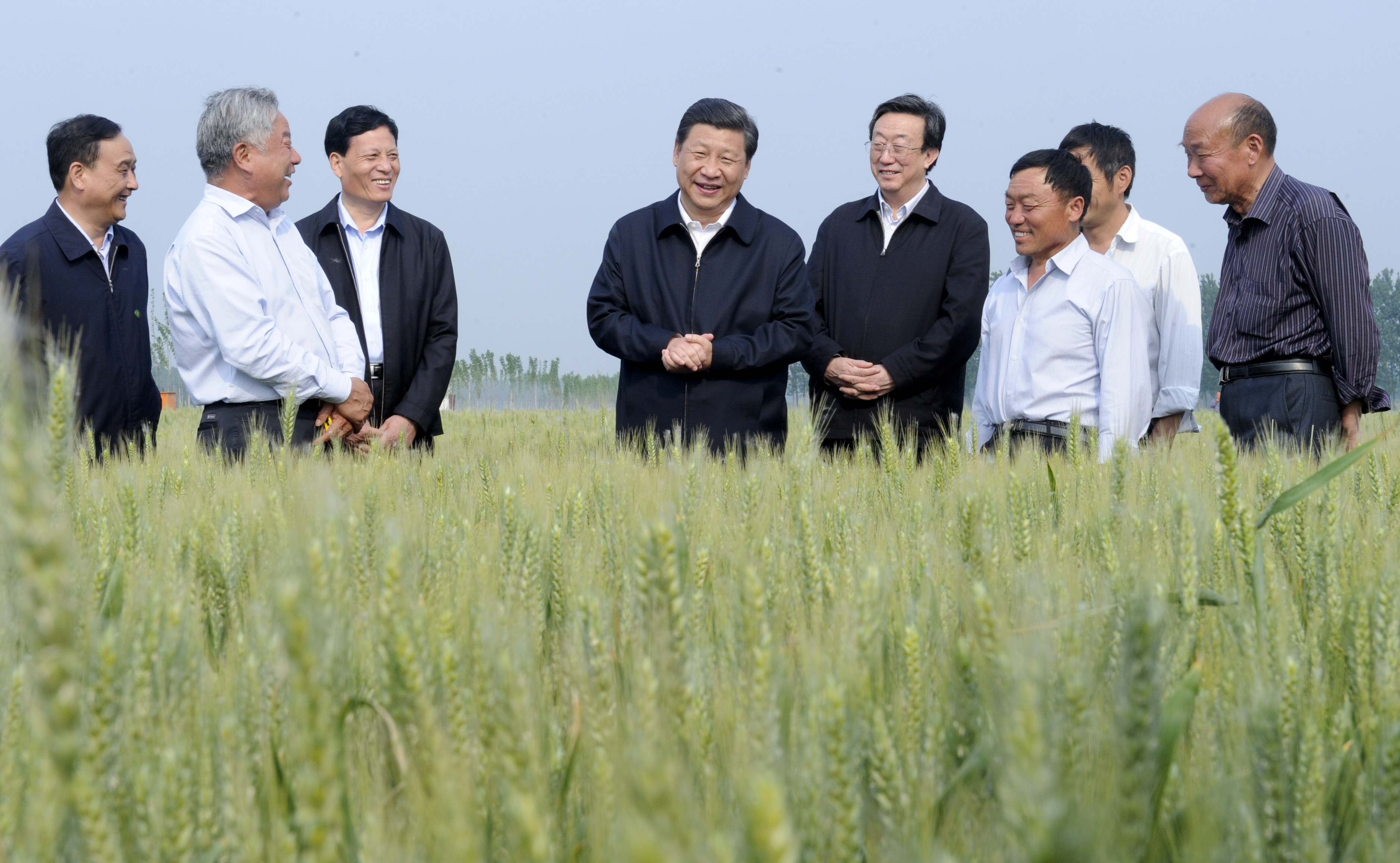 2014年5月9日，习近平总书记在河南尉氏县张市镇高标准粮田察看小麦长势。