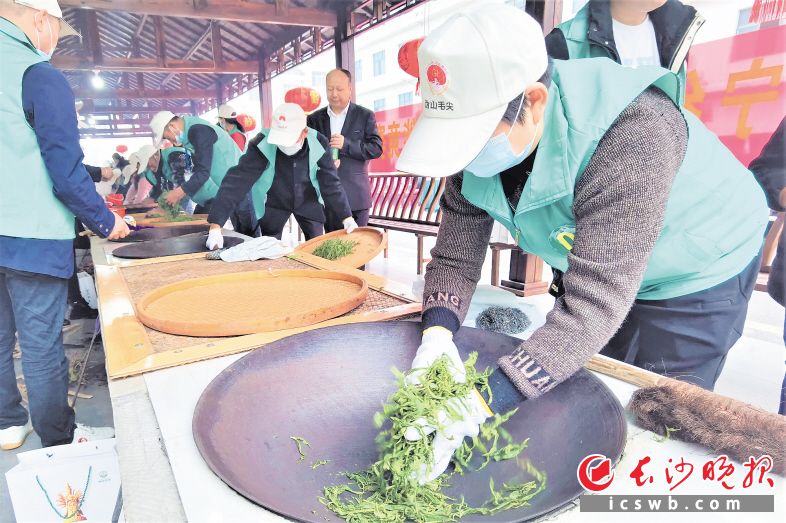 宁乡市首届“乡村工匠”技能竞赛在沩山乡举行，当地能手现场比拼世代相传的制茶功夫。　　长沙晚报全媒体记者 张禹 摄
