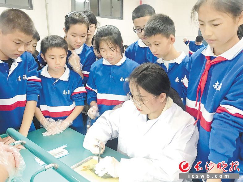 南雅湘江中学的课后服务实行走班上课，近40个项目，学生们想学都能学。长沙晚报全媒体记者 刘俊 摄