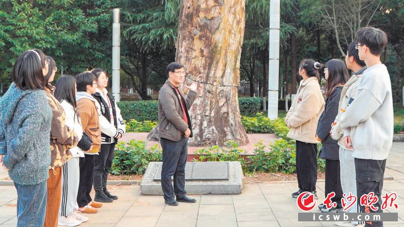 近日，中南林业科技大学旅游学院教师刘江龙将课堂搬到了户外，为学生讲述树化石的前世今生。　　长沙晚报全媒体记者 刘晓敏 摄