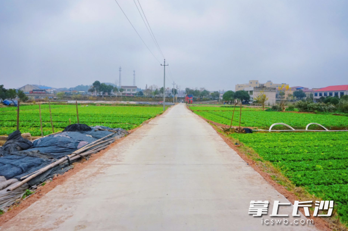 新改建的武塘村东延线-自力大垅公路。