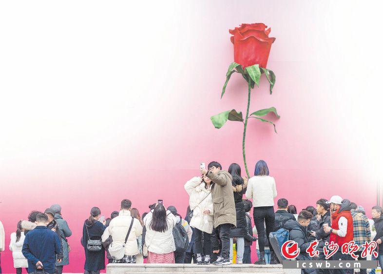 　　浪漫没有时限，爱情不分年龄。近日，黄兴中路旁商店外墙上竖起一枝巨大的仿真玫瑰，吸引了各年龄段的情侣和游人前来拍照打卡。长沙晚报全媒体记者 郭雨滴 摄