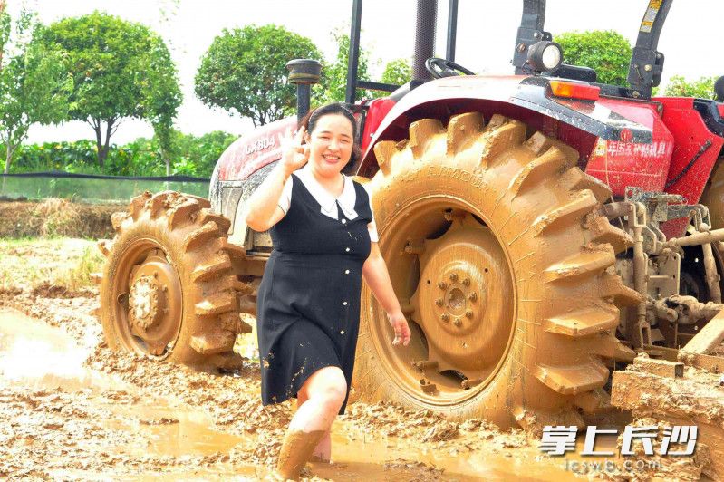 长沙县安沙镇林放农业博览园，杨卓的400多亩种养基地，产值达到380多万元。