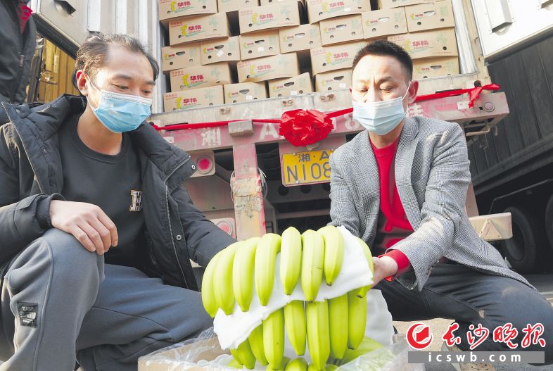 　　12日下午，中老铁路首列冷链香蕉国际班列接收仪式在湖南（红星）农产品流通产业园隆重举行，首批500吨老挝新鲜香蕉抵达长沙。长沙晚报全媒体记者 陈飞 摄