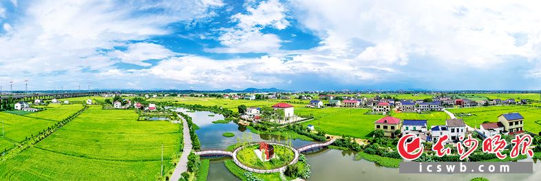 坐拥936亩水面的湘江村宛如一个美丽的湿地公园。 陈飞摄