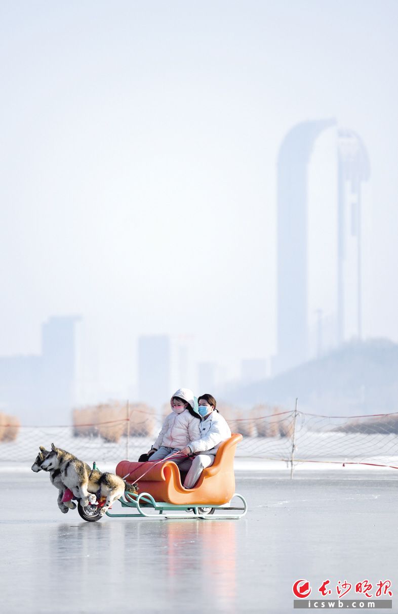 　　昨日，家长带着孩子在宁夏银川市阅海滑雪场游玩。当日是元旦假期的第一天，宁夏银川市许多市民来到滑雪场，畅享冰雪运动带来的欢乐。 新华社记者 冯开华 摄