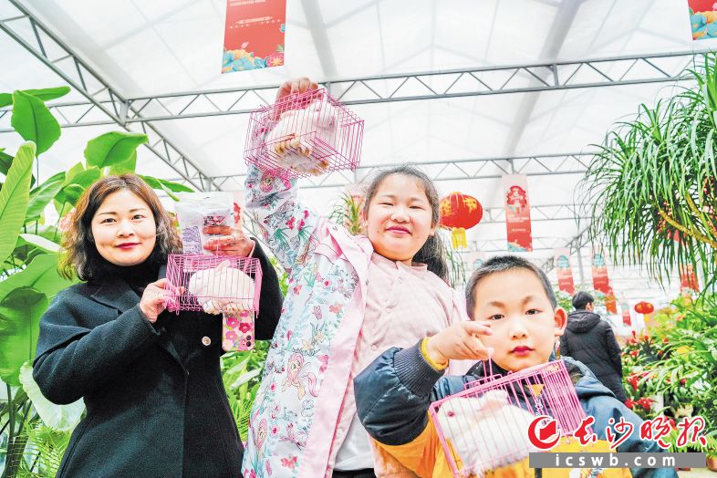 　　市民在湖南湘江新区的新春花市上参加兔年主题活动。　　长沙晚报全媒体记者 陈飞 摄
