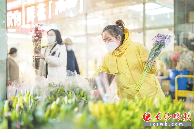 　　↓近日，在红星花卉市场鲜切花区，市民忙着购买年花。  　　长沙晚报全媒体记者 邓迪 摄