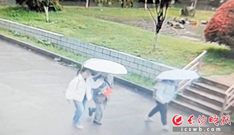 在雨中相遇后，女大学生张婷撑伞送85岁的陌生老人回家。 视频截图