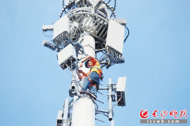 中国联通工作人员攀爬5G基站塔更换AAU光纤。图片均由李蓉 李梓淳提供