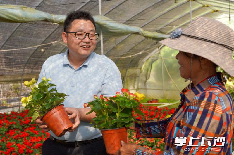 谢明正在跟大棚内的花卉种植农民交流心得。