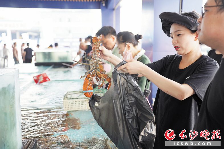 　　26日，市民在红星海鲜水产批发市场选购海鲜。  长沙晚报全媒体记者 周游 通讯员 黄承鹏 摄影报道